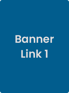 Link 5