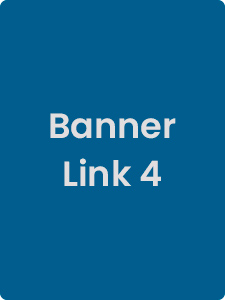 Link 2